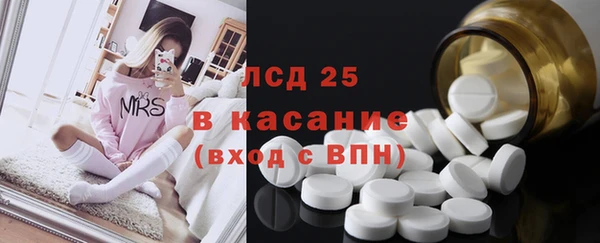 ПСИЛОЦИБИНОВЫЕ ГРИБЫ Аркадак