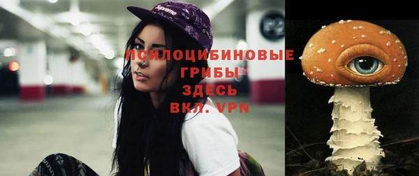 spice Арсеньев