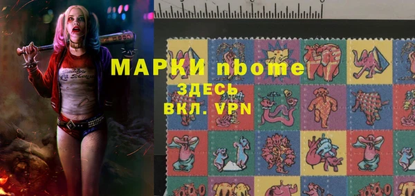 прущие грибы Абаза