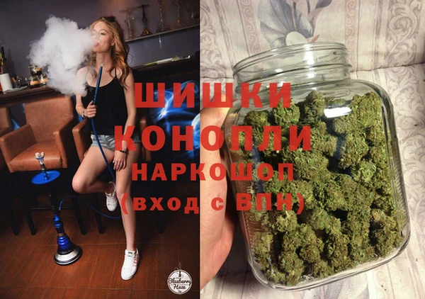 трава Гусиноозёрск
