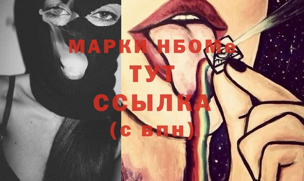 прущие грибы Абаза