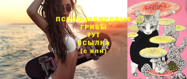 индика Алексин