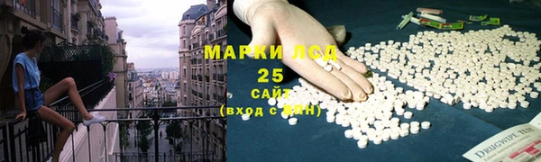 индика Алексин